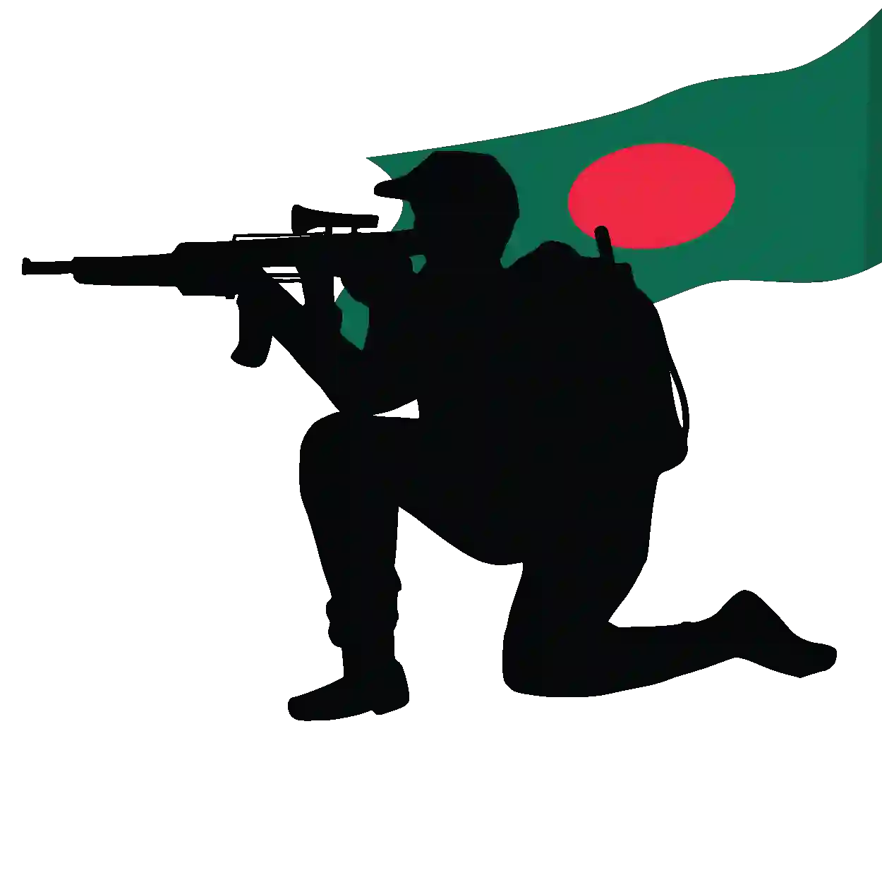 মুক্তিযুদ্ধ বই